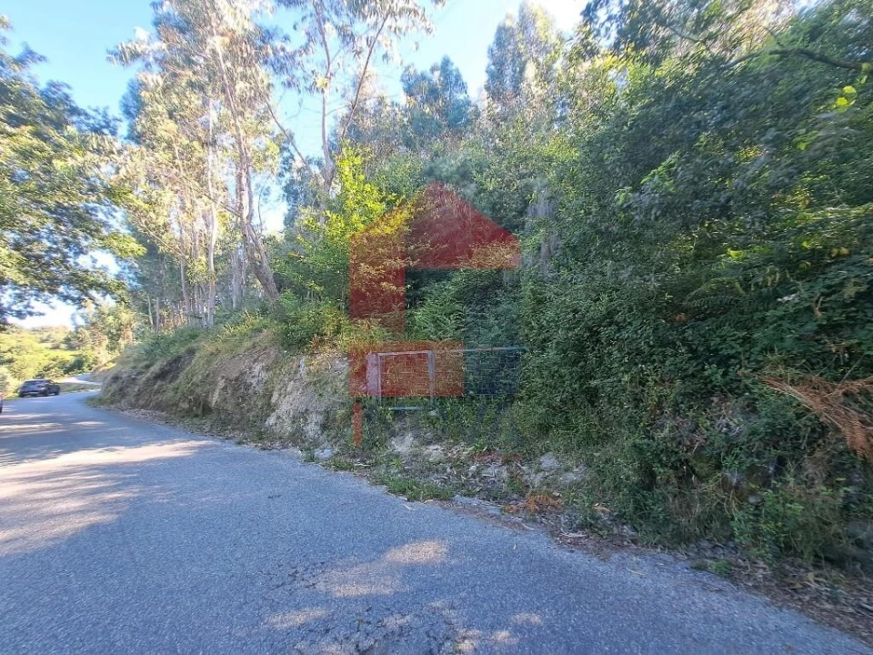 Terreno para Venda em Pico de Regalados, Gondiães e Mós Foto 1