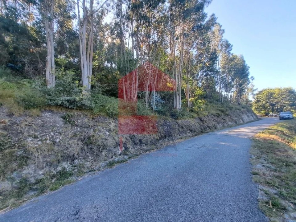 Terreno para Venda em Pico de Regalados, Gondiães e Mós Foto 3