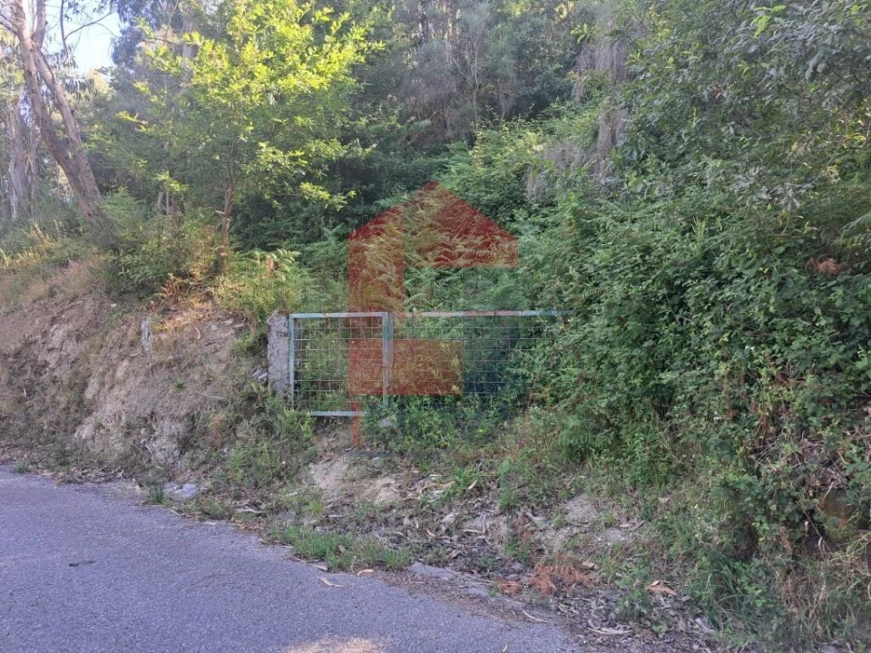 Terreno para Venda em Pico de Regalados, Gondiães e Mós Foto 8
