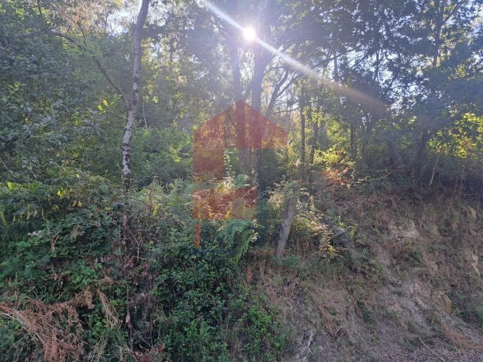 Terreno para Venda em Pico de Regalados, Gondiães e Mós Foto 5