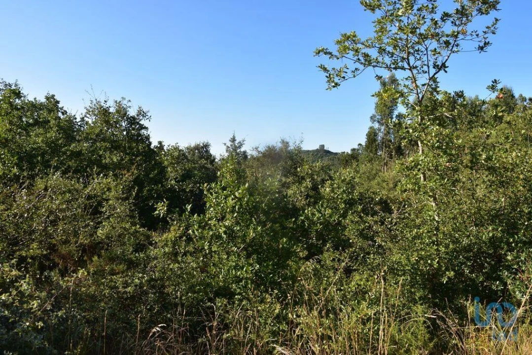 Terreno para Venda em Chãos Foto 6