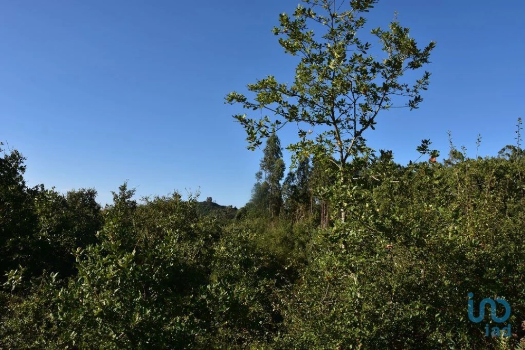 Terreno para Venda em Chãos Foto 7