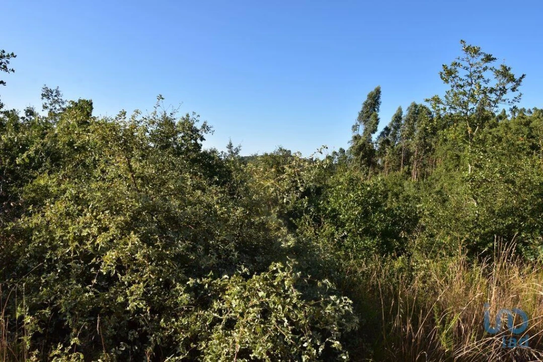 Terreno para Venda em Chãos Foto 12