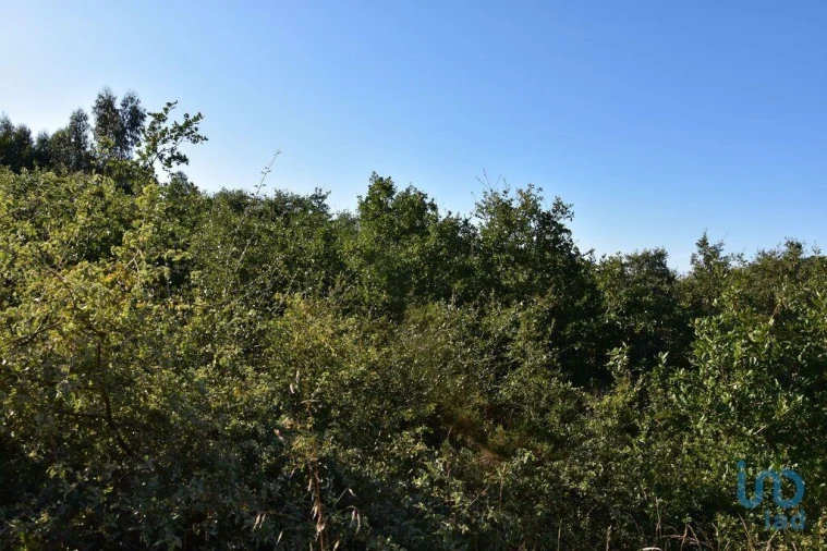 Terreno para Venda em Chãos Foto 11