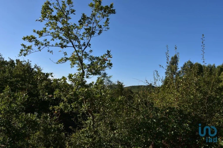 Terreno para Venda em Chãos Foto 9