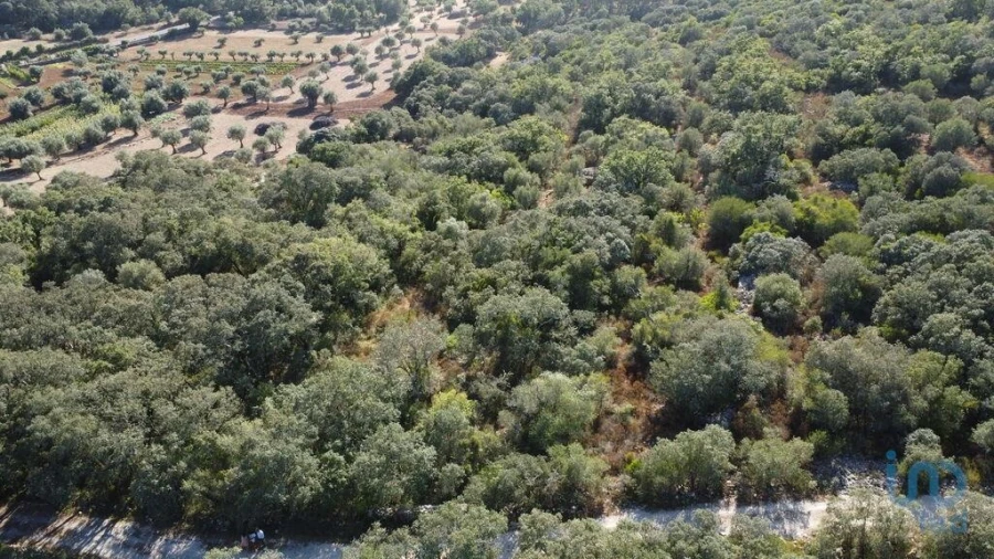 Terreno para Venda em Chãos Foto 2