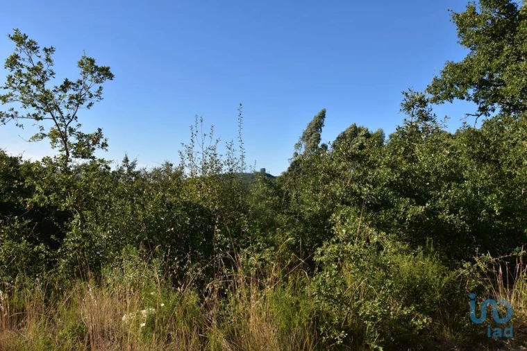 Terreno para Venda em Chãos Foto 8