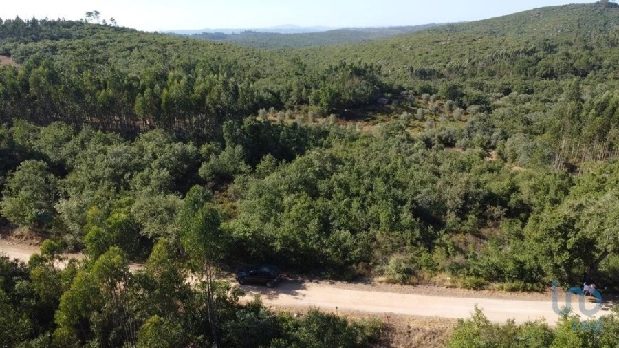 Terreno para Venda em Chãos Foto 1