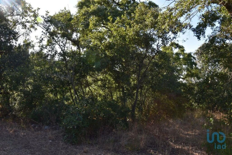 Terreno para Venda em Chãos Foto 3