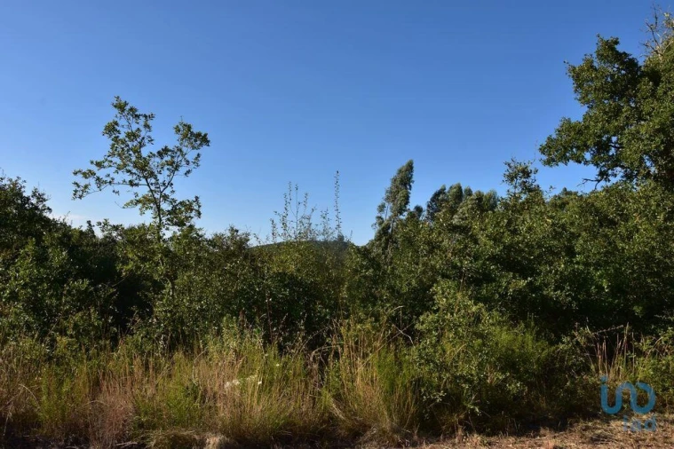 Terreno para Venda em Chãos Foto 4