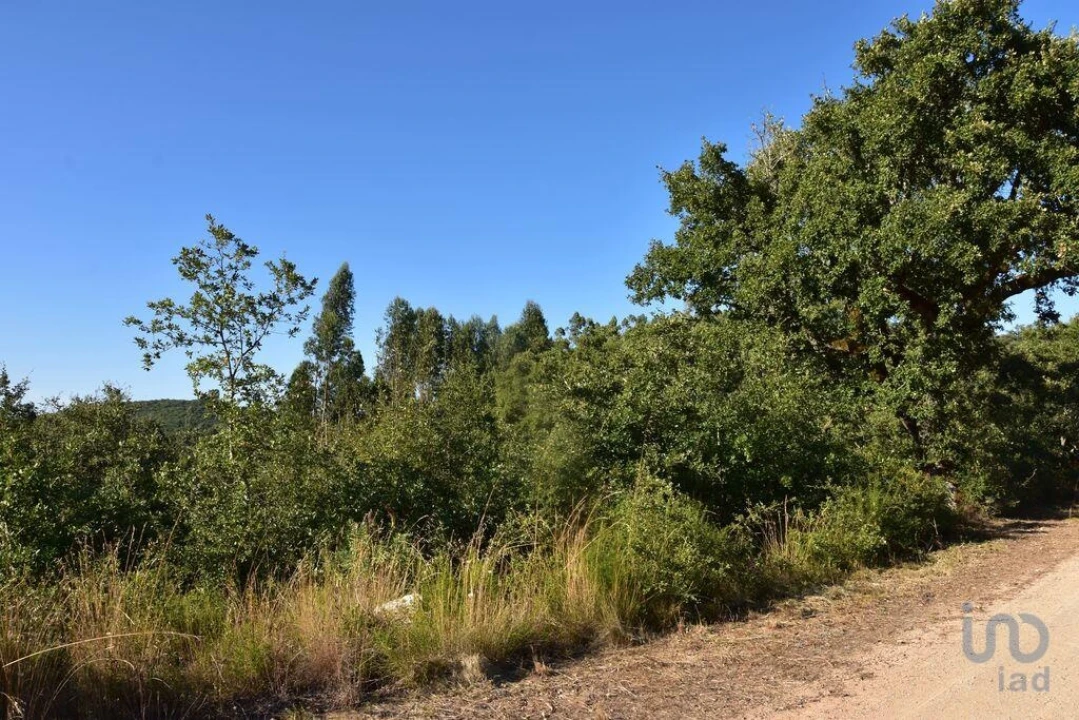 Terreno para Venda em Chãos Foto 13