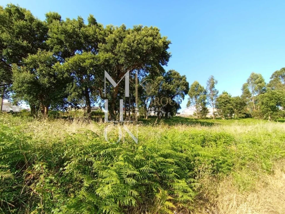 Terreno para Venda em Gulpilhares e Valadares Foto 6