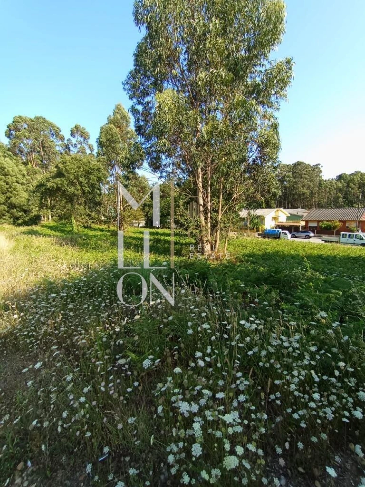 Terreno para Venda em Gulpilhares e Valadares Foto 4