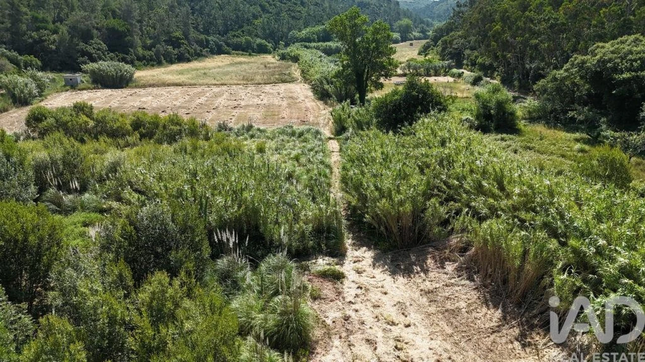 Terreno para Venda em Carvoeira Foto 5