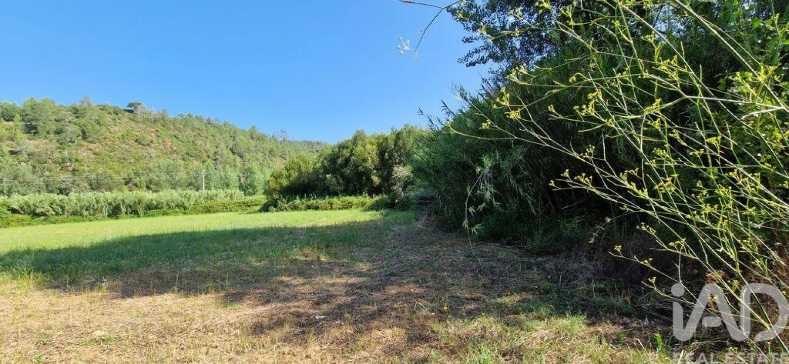 Terreno para Venda em Carvoeira Foto 25