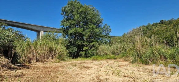 Terreno para Venda em Carvoeira