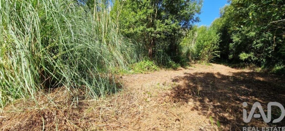Terreno para Venda em Carvoeira