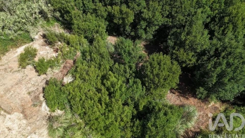 Terreno para Venda em Carvoeira