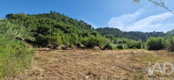 Terreno para Venda em Carvoeira