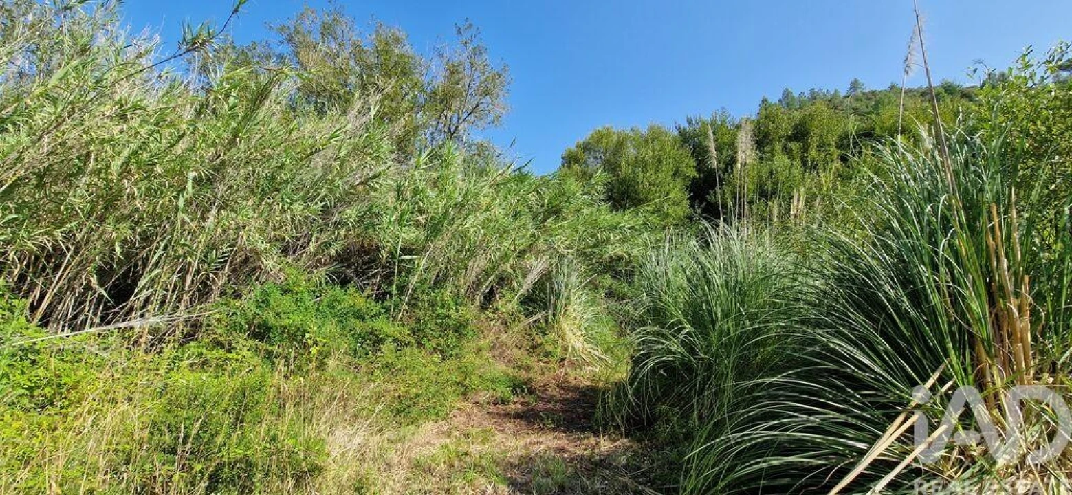 Terreno para Venda em Carvoeira Foto 24