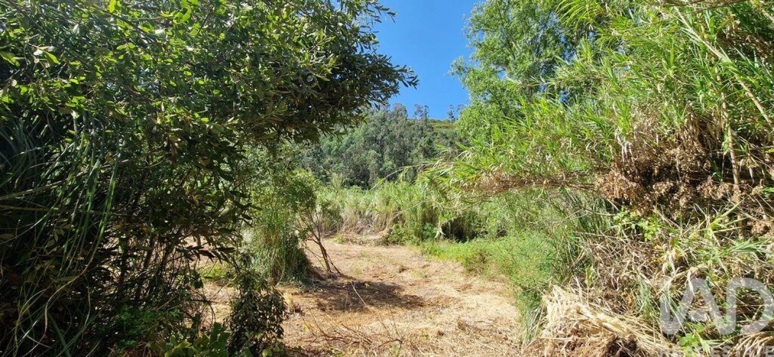 Terreno para Venda em Carvoeira Foto 9