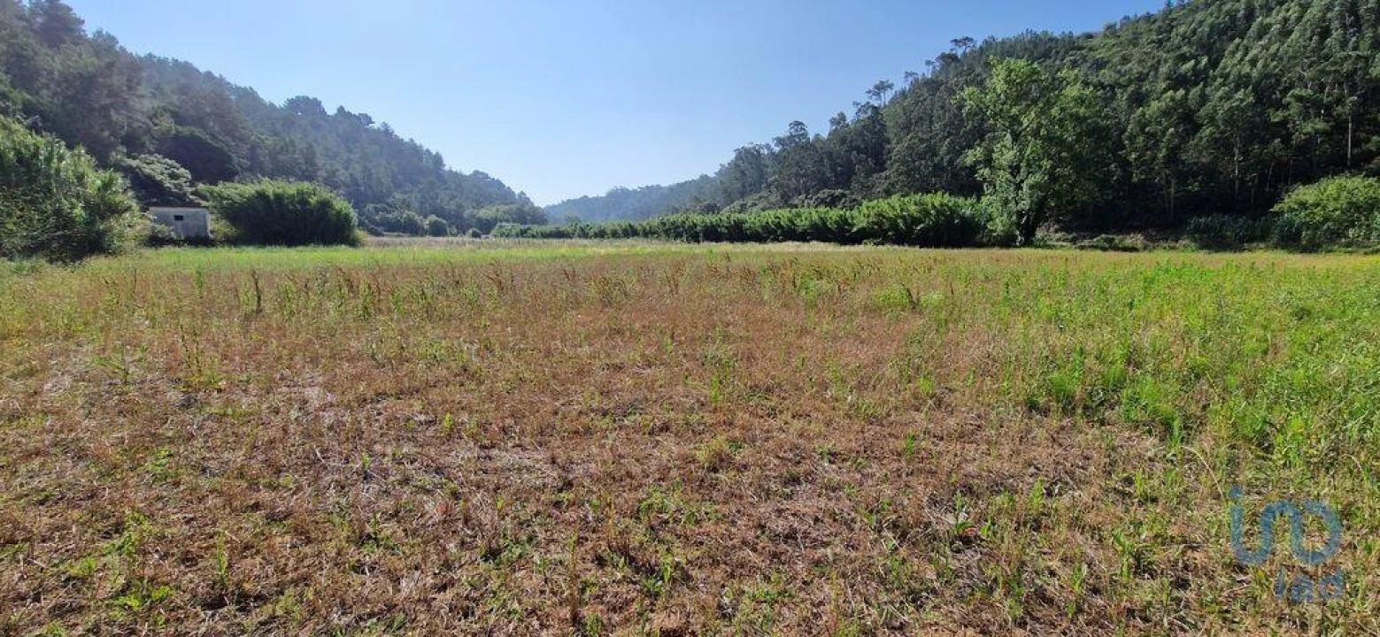 Terreno para Venda em Carvoeira Foto 11
