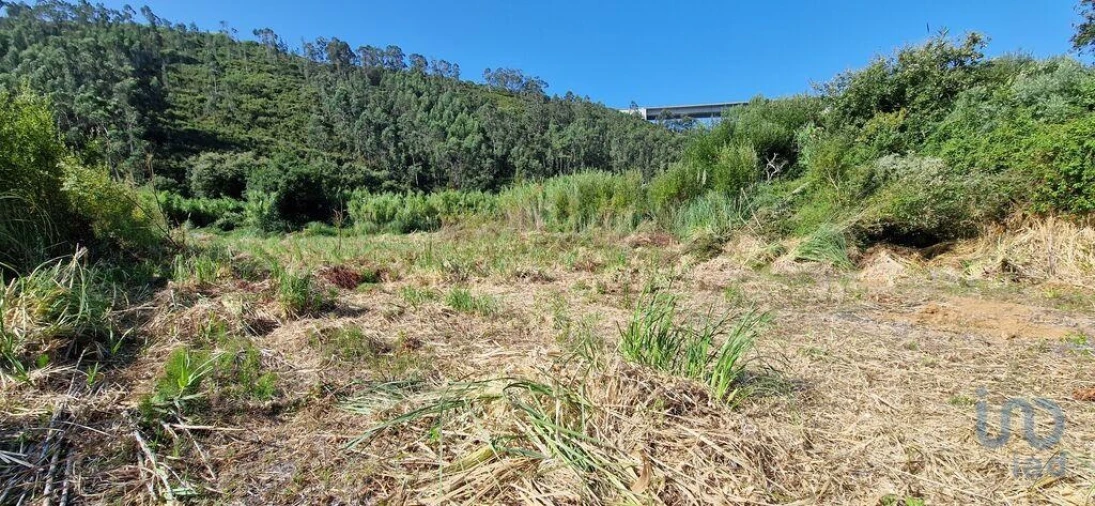 Terreno para Venda em Carvoeira Foto 15