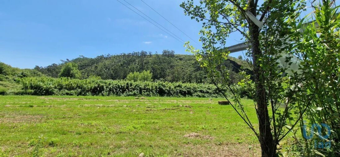 Terreno para Venda em Carvoeira Foto 3
