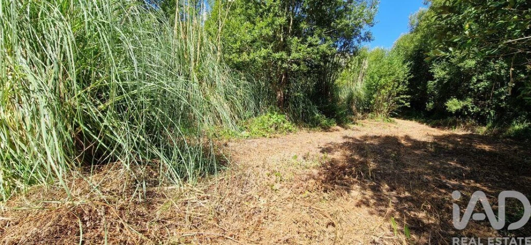 Terreno para Venda em Carvoeira Foto 12