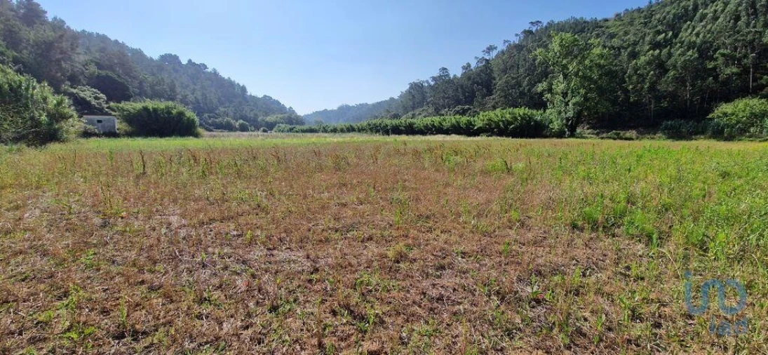 Terreno para Venda em Carvoeira Foto 11