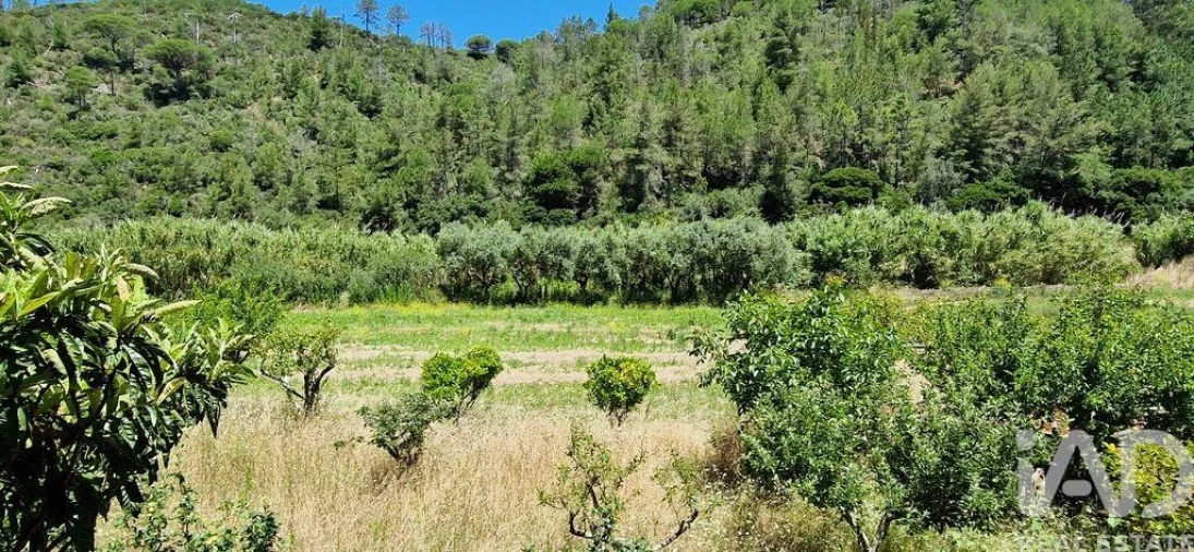 Terreno para Venda em Carvoeira Foto 19