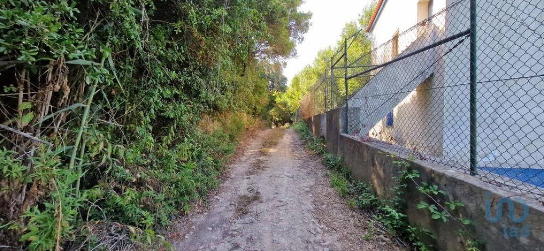 Terreno para Venda em Carvoeira Foto 9