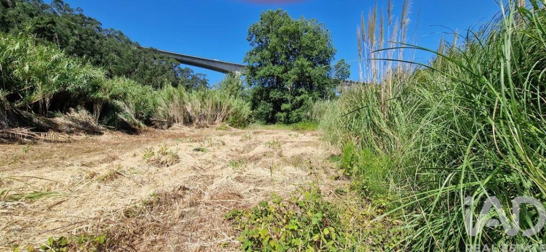Terreno para Venda em Carvoeira Foto 15