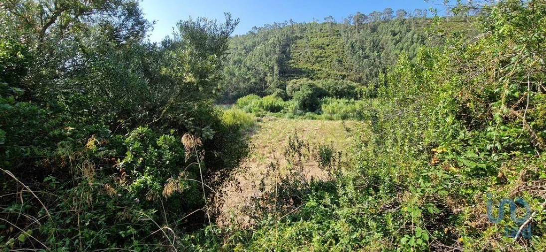 Terreno para Venda em Carvoeira Foto 12