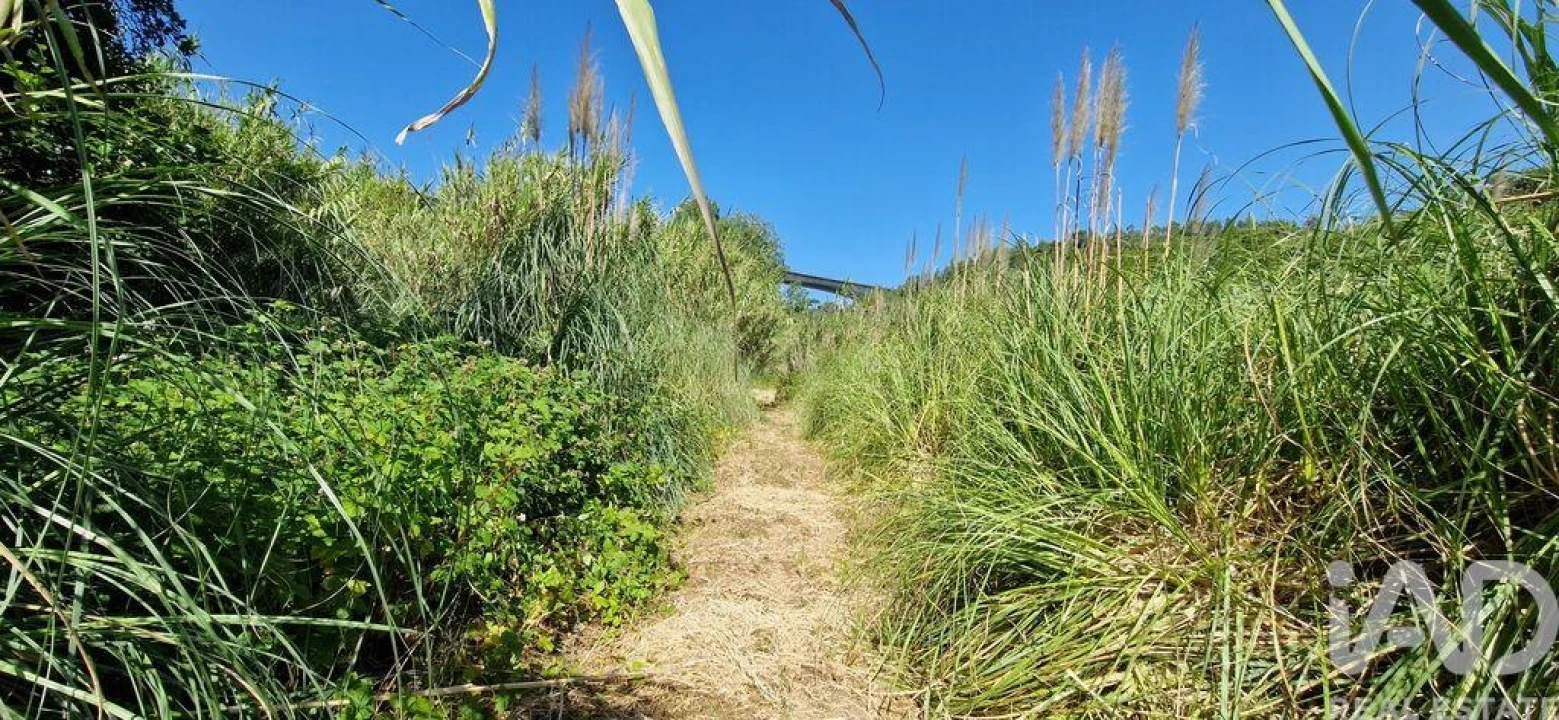 Terreno para Venda em Carvoeira Foto 17