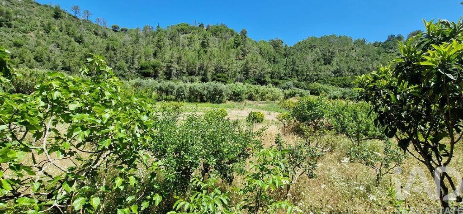 Terreno para Venda em Carvoeira Foto 17