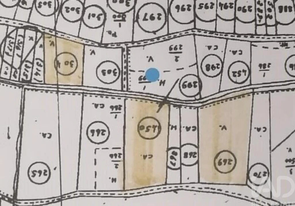 Terreno para Venda em Carvoeira Foto 27