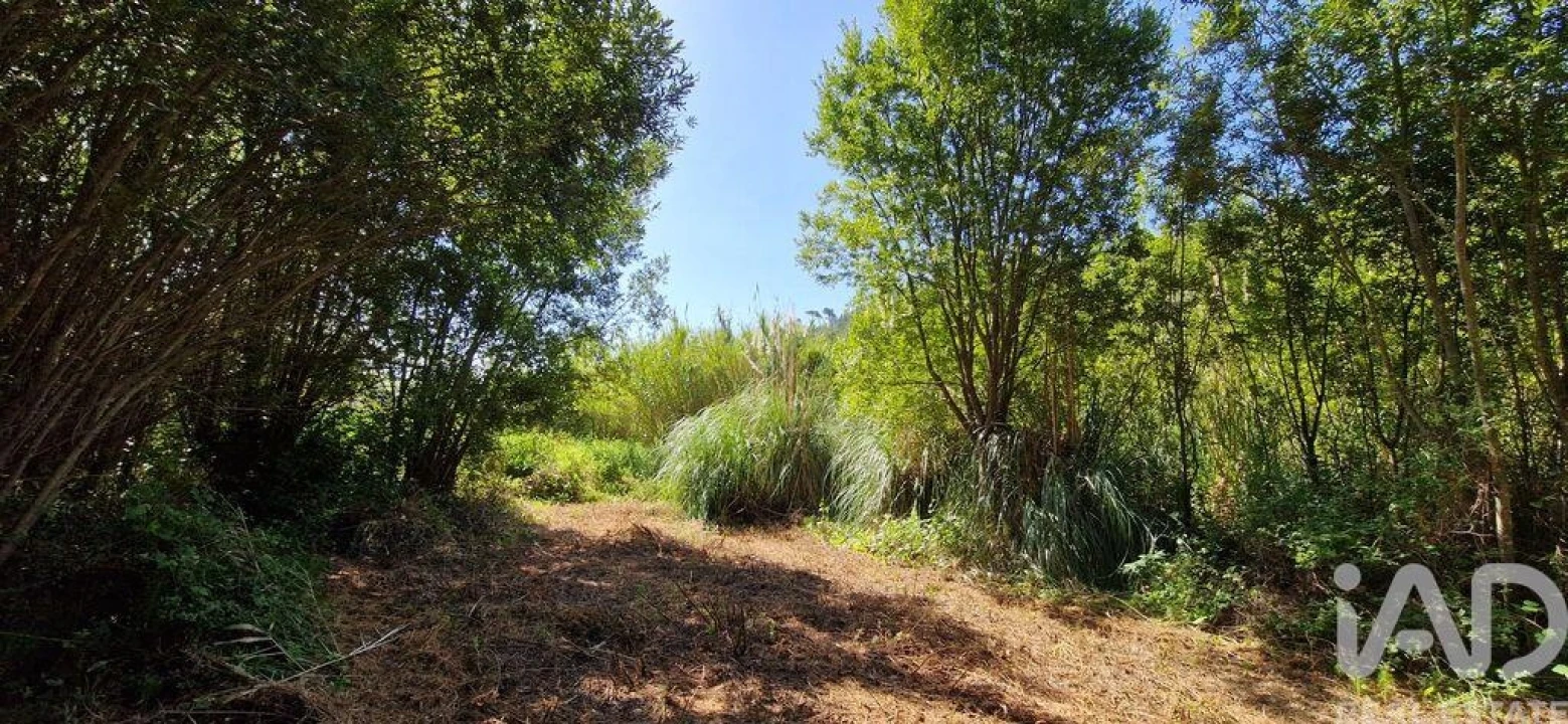 Terreno para Venda em Carvoeira Foto 10