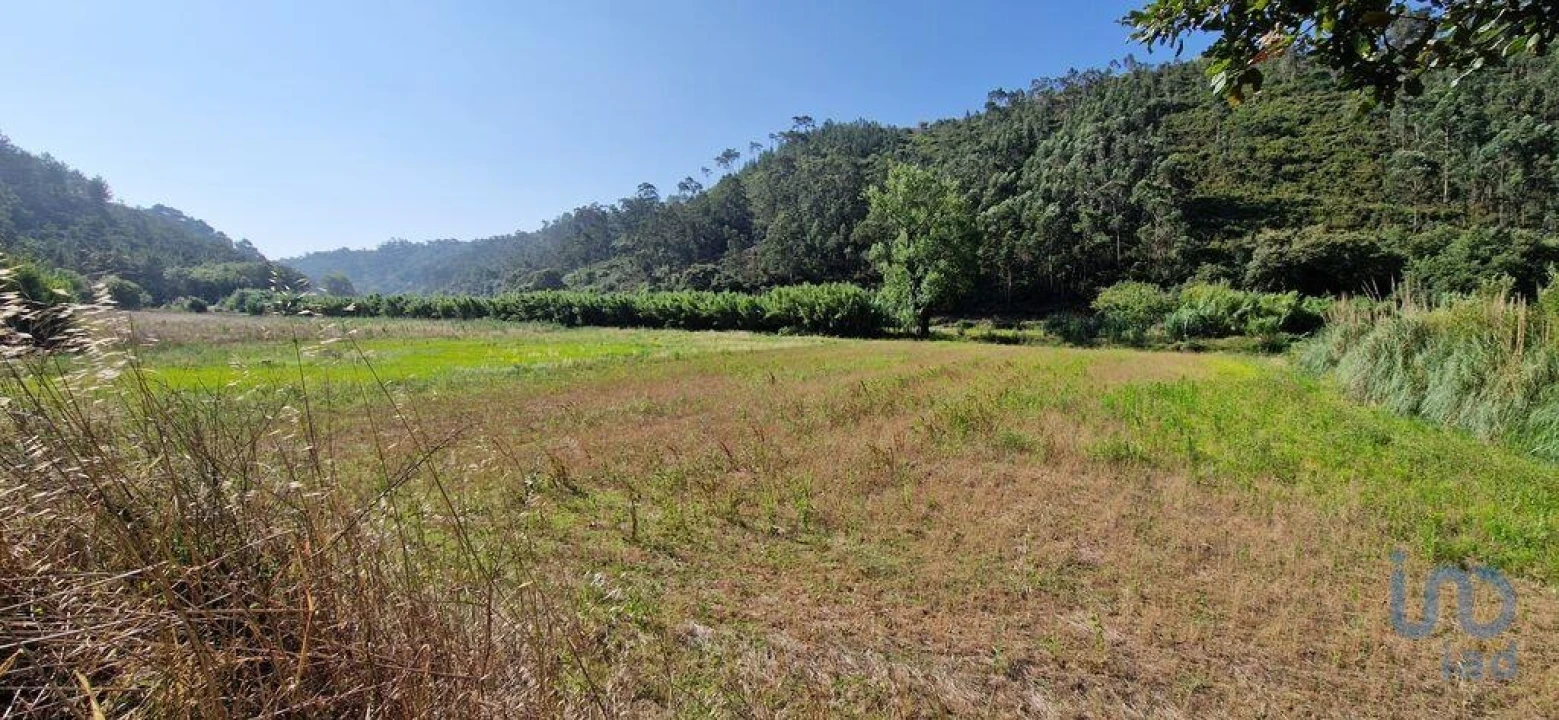 Terreno para Venda em Carvoeira Foto 10