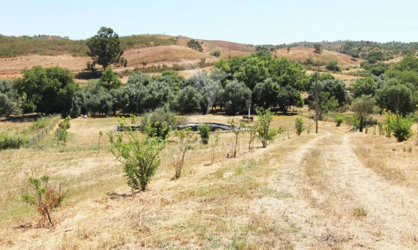 Terreno para Venda em Saboia Foto 11