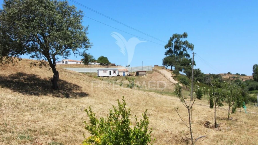 Terreno para Venda em Saboia