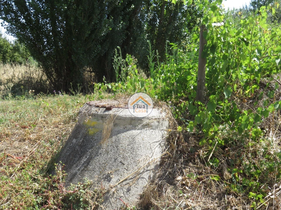 Terreno para Venda em Três Povos Foto 18