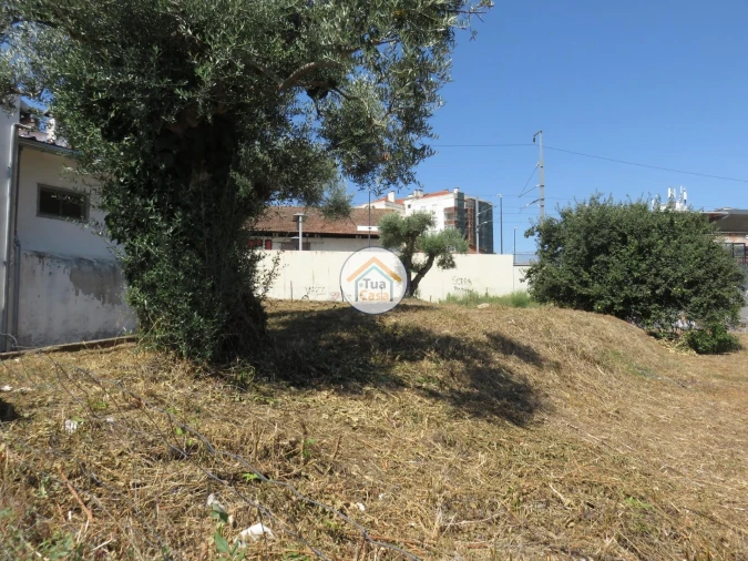 Terreno para Venda em Três Povos Foto 5