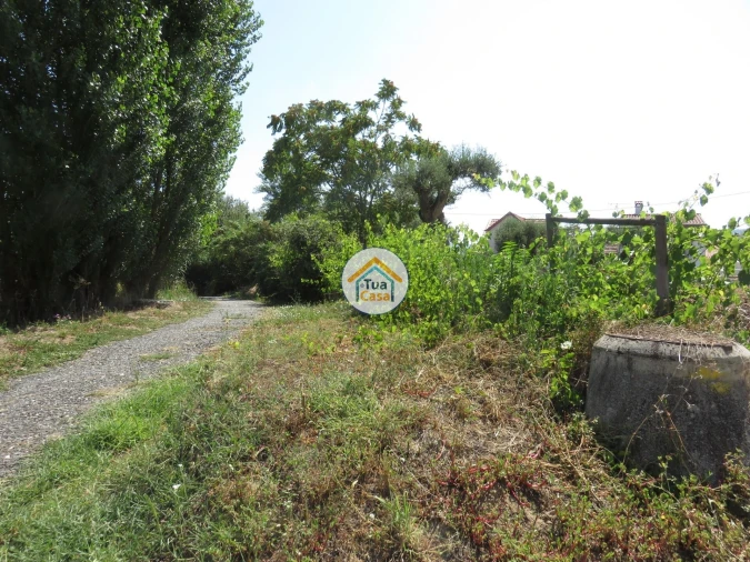 Terreno para Venda em Três Povos Foto 19