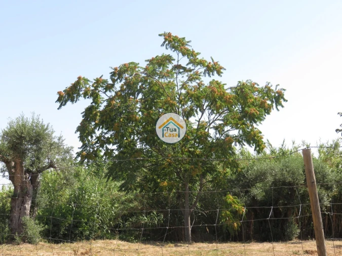 Terreno para Venda em Três Povos Foto 22