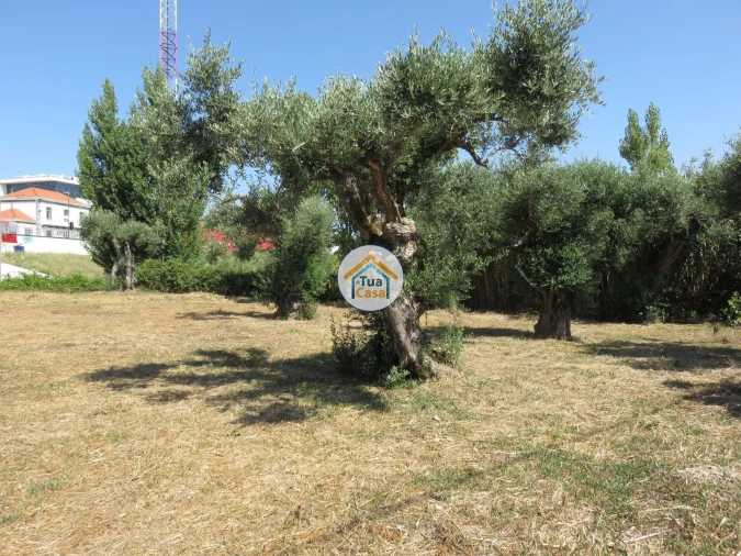 Terreno para Venda em Três Povos Foto 7