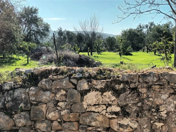 Terreno para Venda em Loule (São Clemente)