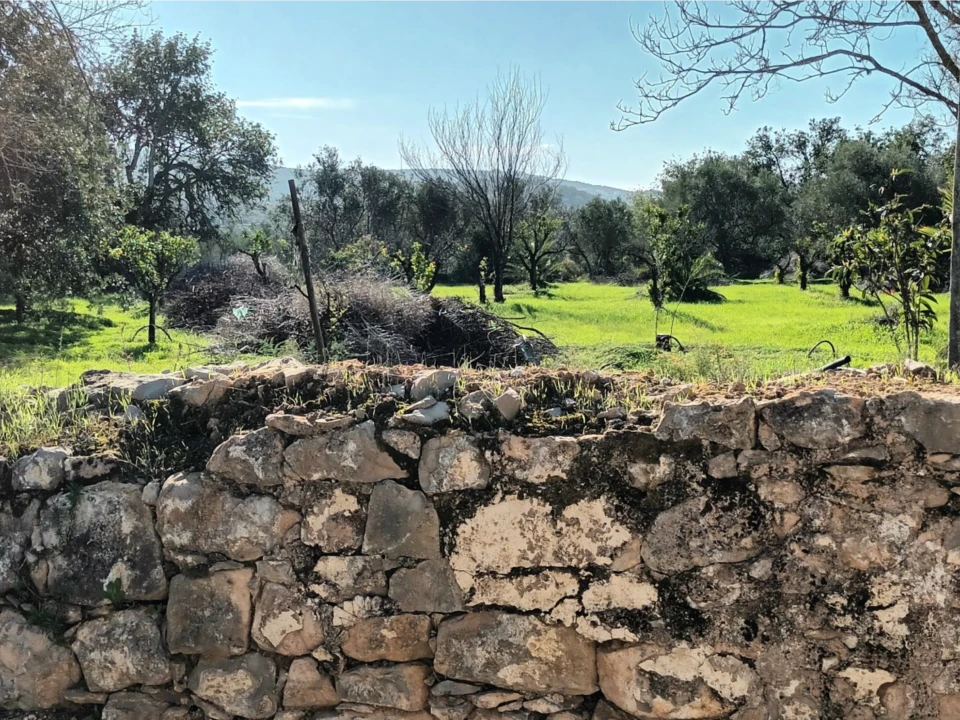 Terreno para Venda em Loule (São Clemente) Foto 5