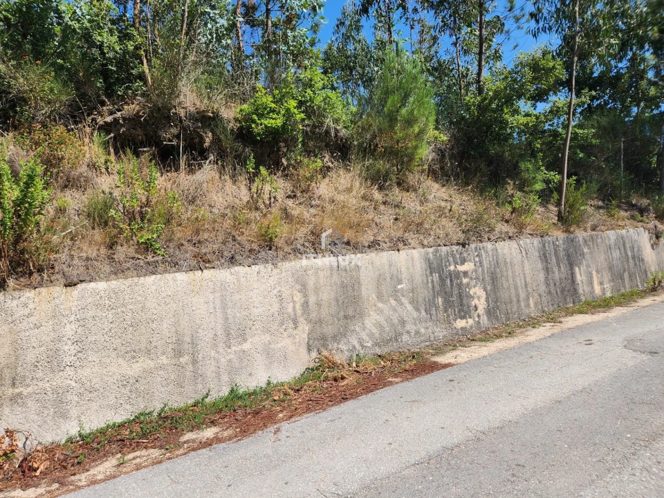 Terreno Agricola ou Rústico para Venda em Louriçal Foto 23