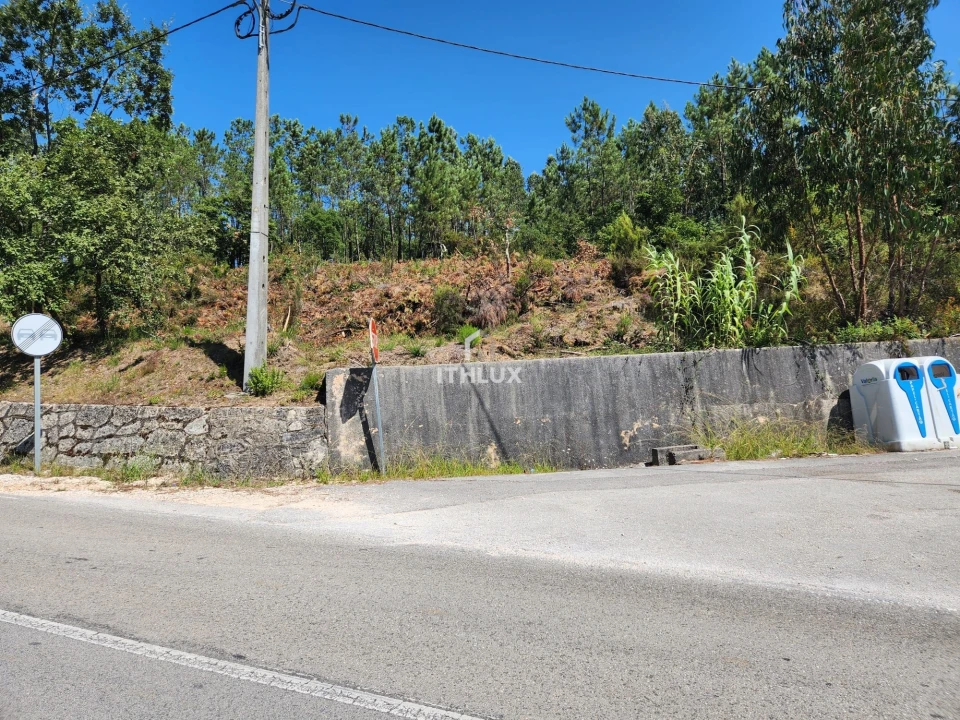 Terreno Agricola ou Rústico para Venda em Louriçal Foto 28